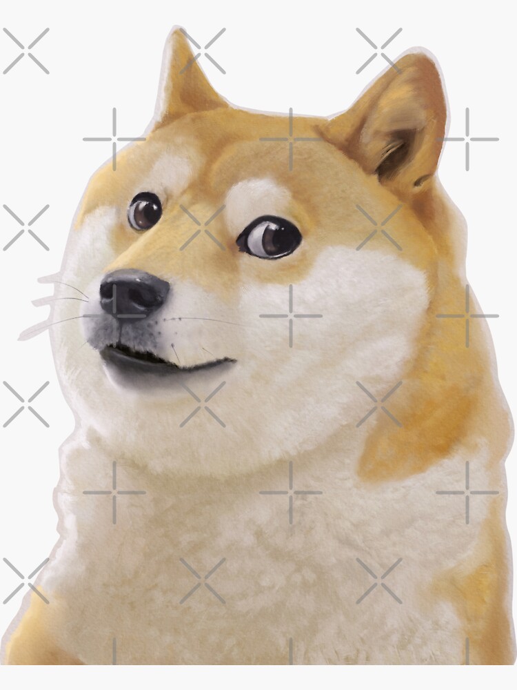 Doge Meme transparent background PNG cliparts free download | HiClipart