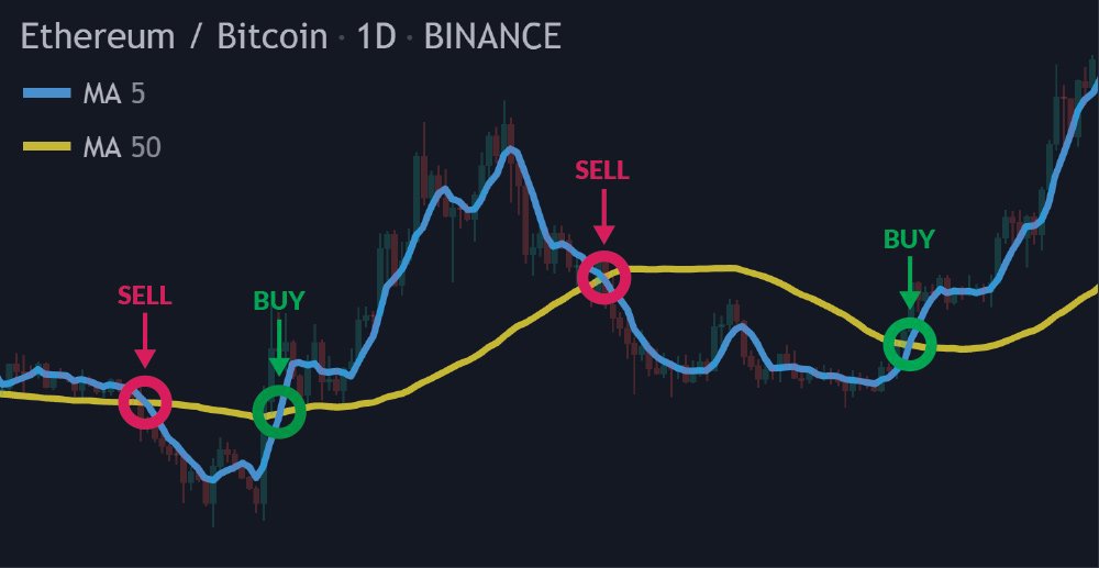 Build a Crypto Trading Bot │ Tips and Best Practices