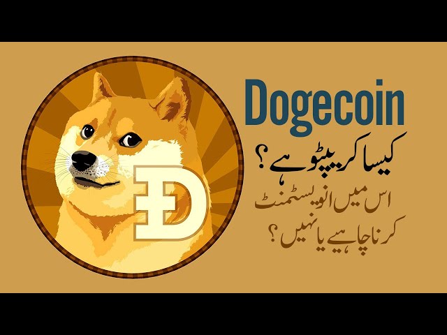 Live Doge to Pakistani Rupees Exchange Rate - DOGE 1 DOGE/PKR Today