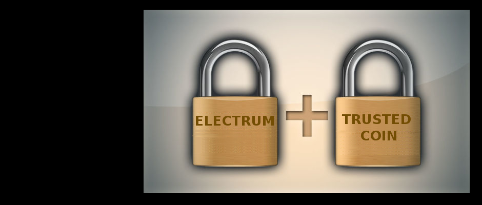 Electrum vs Exodus - Which Wallet Is Better in ?