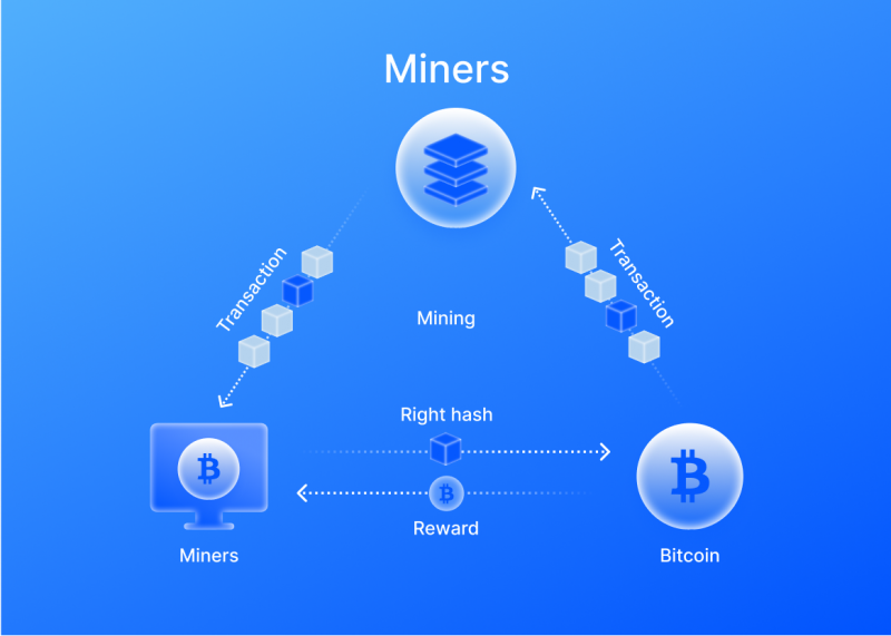 Cryptocurrency and the Future of Your Money | Columbia Magazine