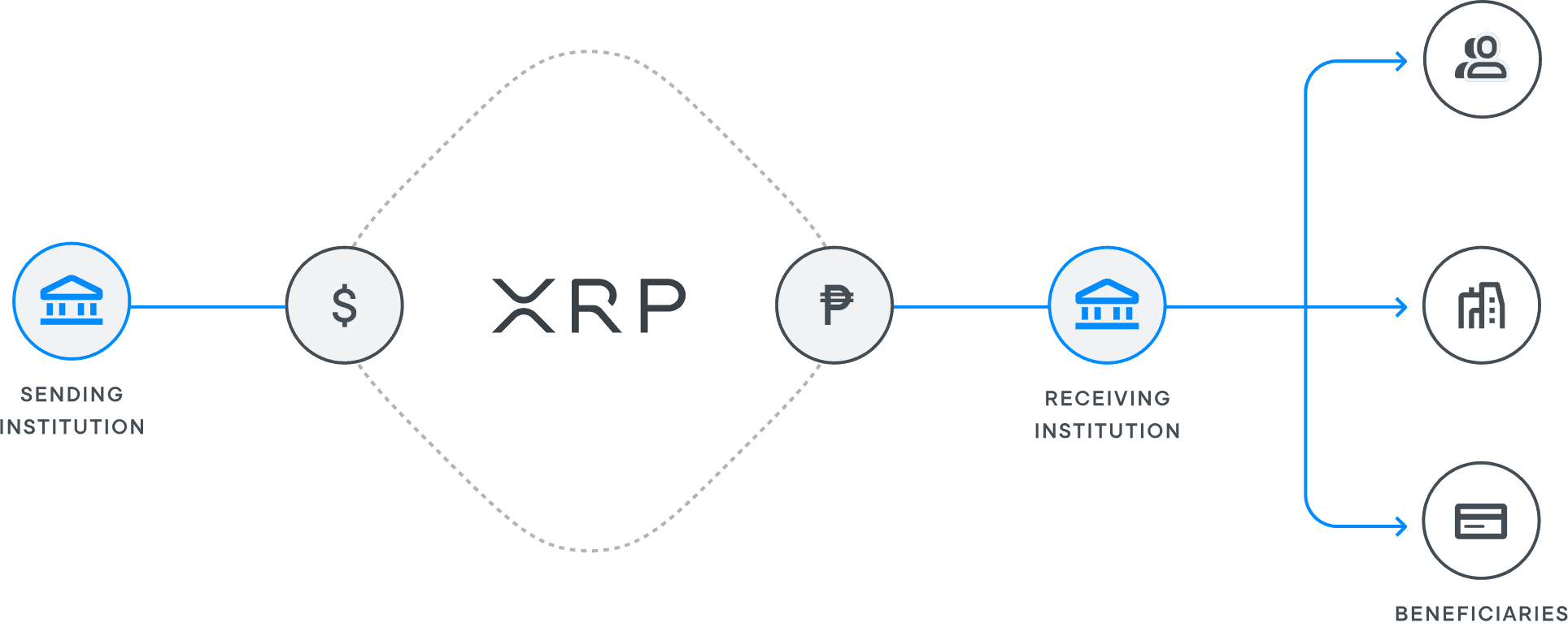 What is Ripple (XRP)? How does XRP work?