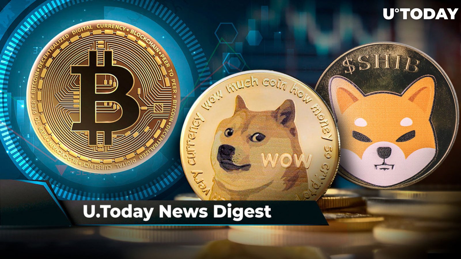 How To Buy Dogecoin (DOGE)