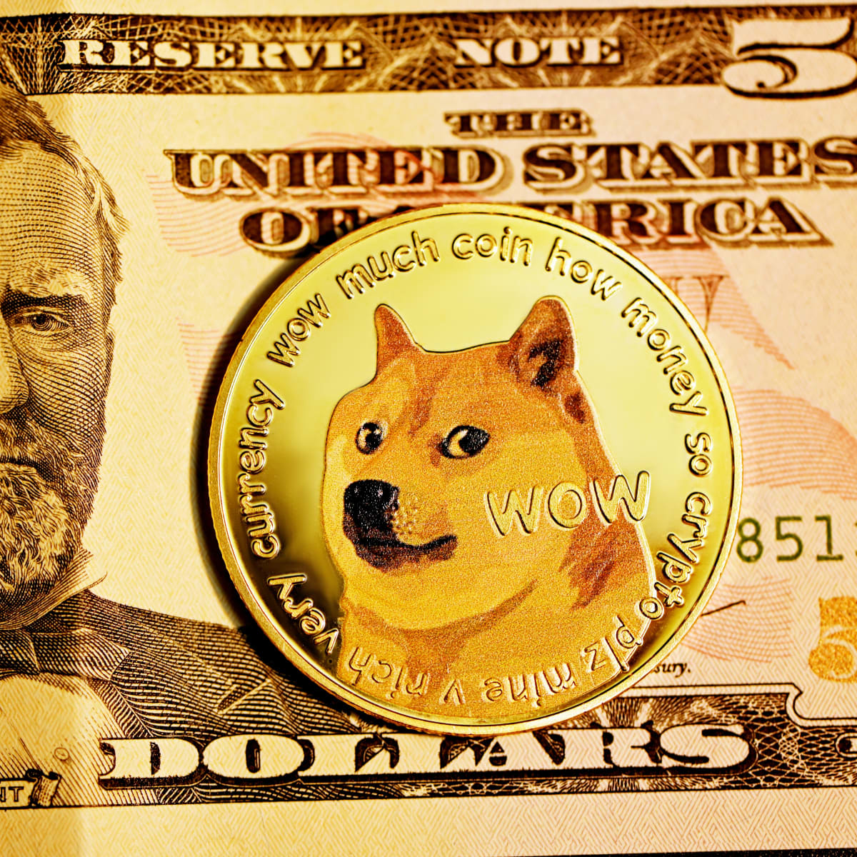 DOGE to USD : Dogecoin (DOGE) price in Dollar (USD)