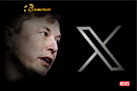 Elon Musk: 'We Never Will' Launch a Twitter or X Crypto Token