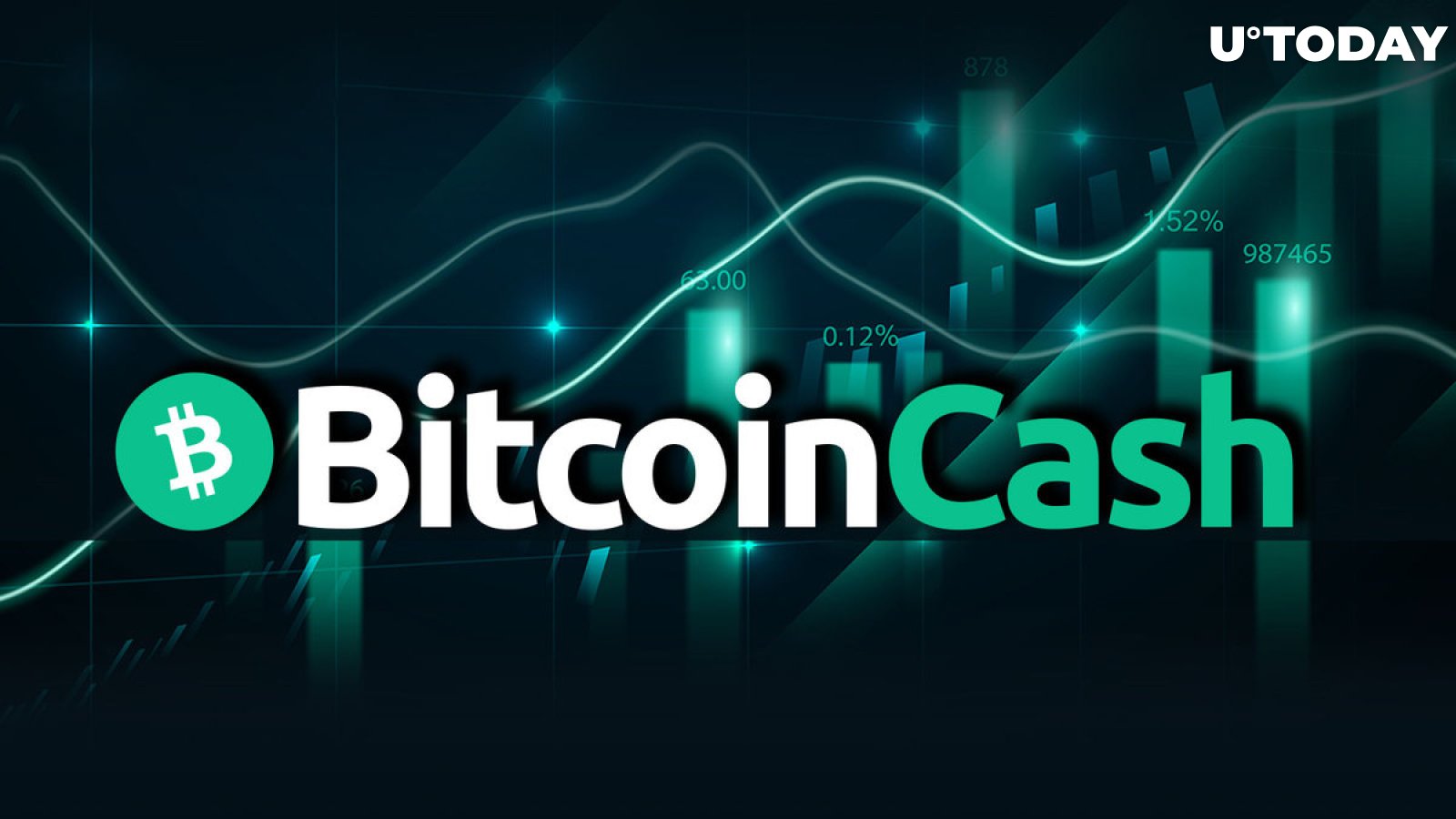 Bitcoin Cash Sees Largest Bets in 2 Years, BCH Doubles in a Week