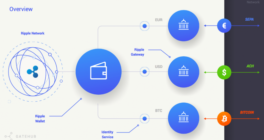 What is XRP Crypto? Ripple’s Efficient Fiat Bridge | Gemini