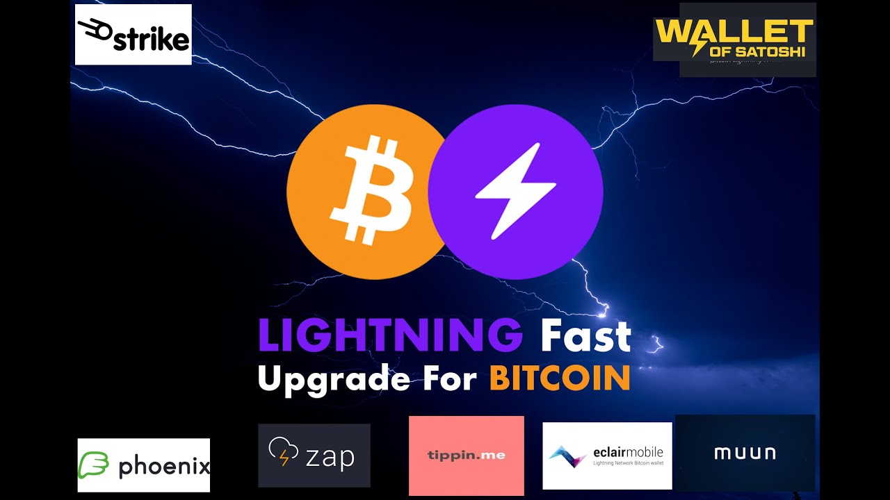 10 Best Bitcoin Lightning Wallets for | Speed