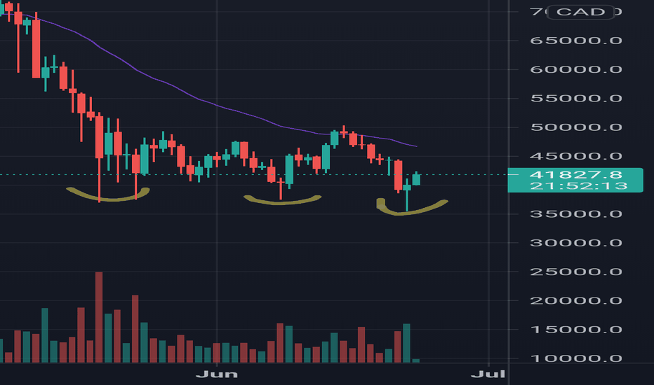 Calculate BITCOIN to CAD live today (BITCOIN-CAD) | CoinMarketCap