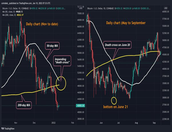 BONK’s price pumped harder around Coinbase listing than any other crypto this year - Blockworks