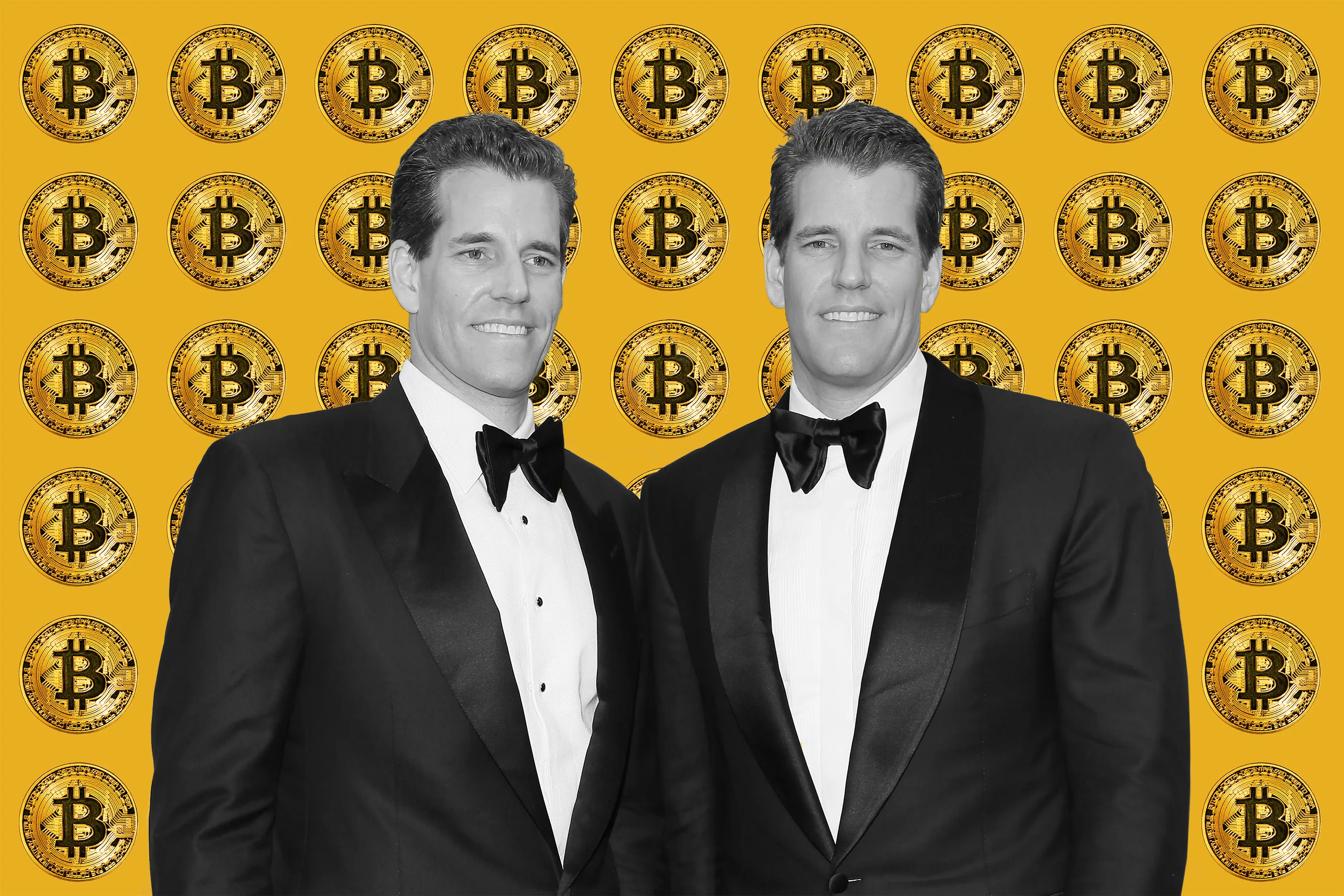 Top Richest Bitcoin Addresses and Bitcoin distribution