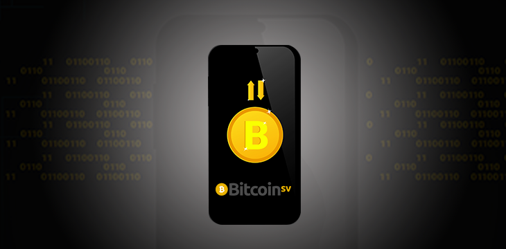 Bitcoin wallets: an intro for developers