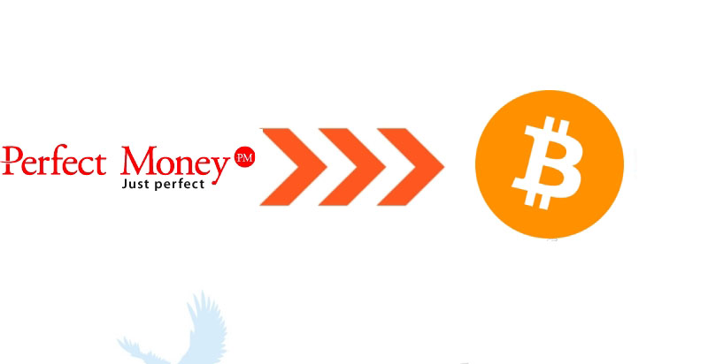 Bitcoin to Perfect Money USD Convert, Exchange BTC to PM Best Rate - Exchanger24