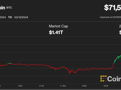 Bitcoin Price | BTC USD | Chart | Bitcoin US-Dollar | Markets Insider