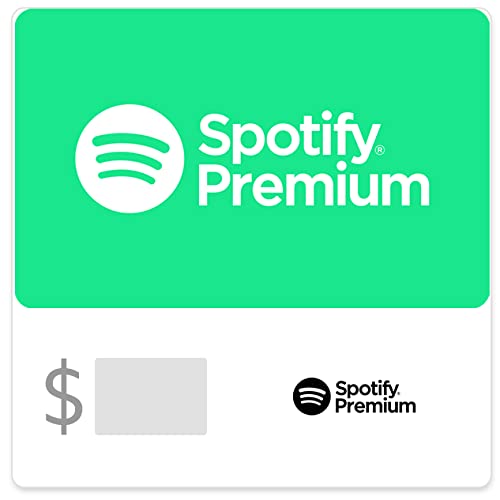 Spotify Premium Invidual 12 Months Membership alternatives