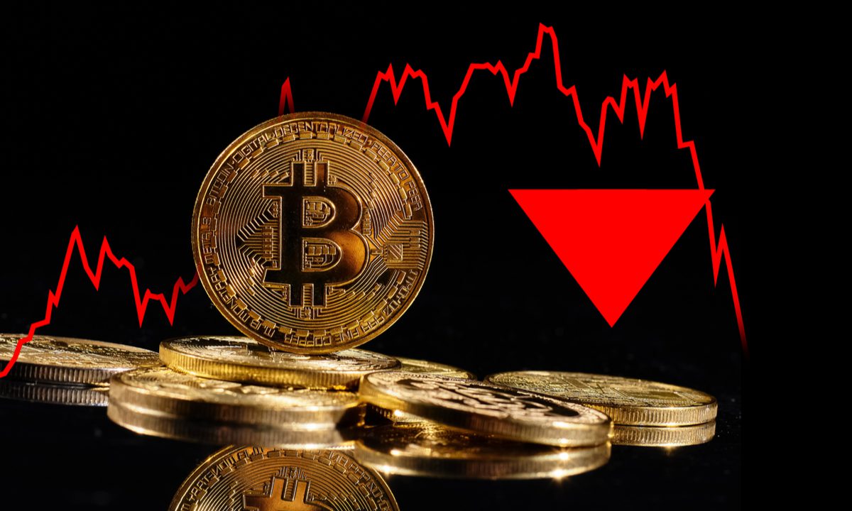 Is bitcoin going to crash again? - Times Money Mentor