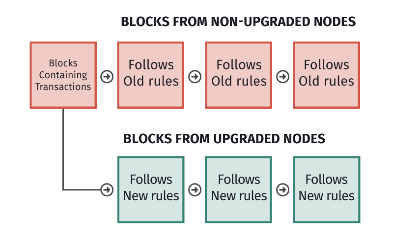 Understanding Hard Forks in Cryptocurrency