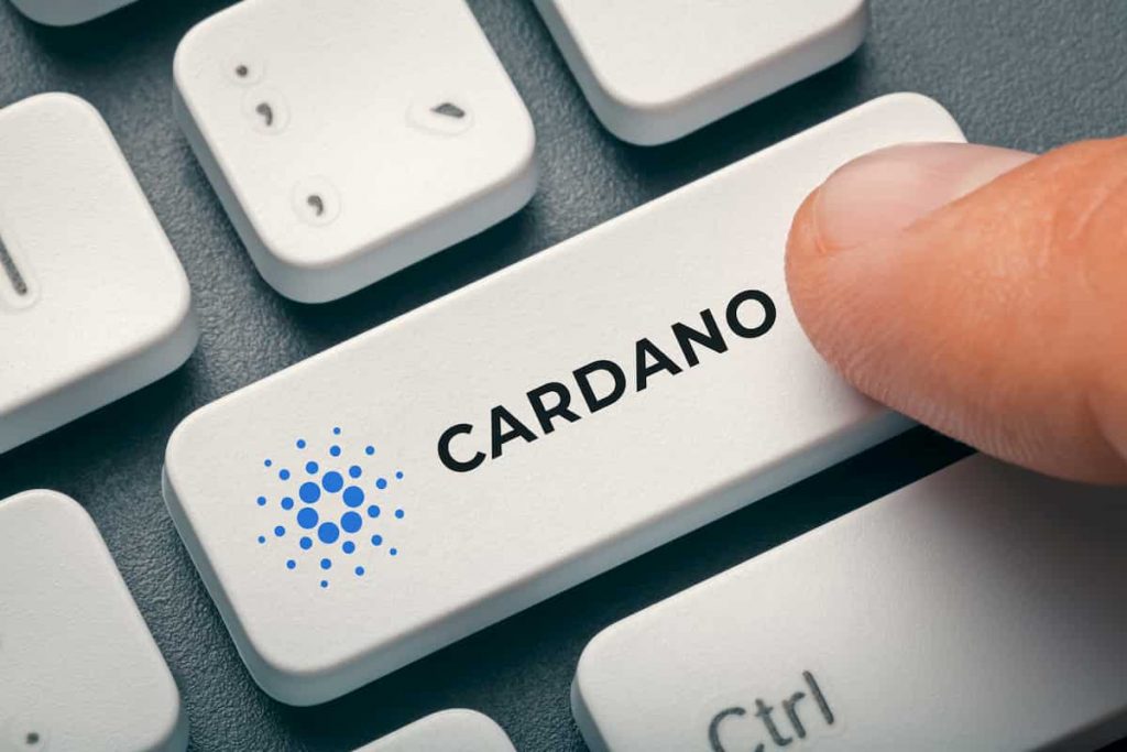 Cardano Stake Pool, ADA Stake Pool Operator - Dotare