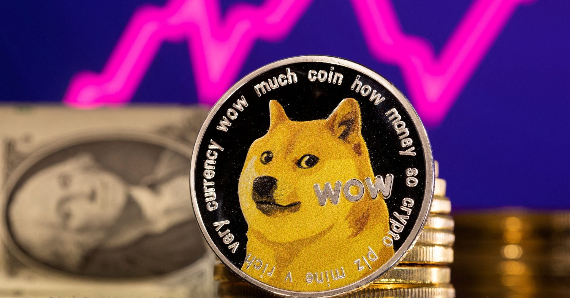 2, Crypto Currency Dog Royalty-Free Photos and Stock Images | Shutterstock