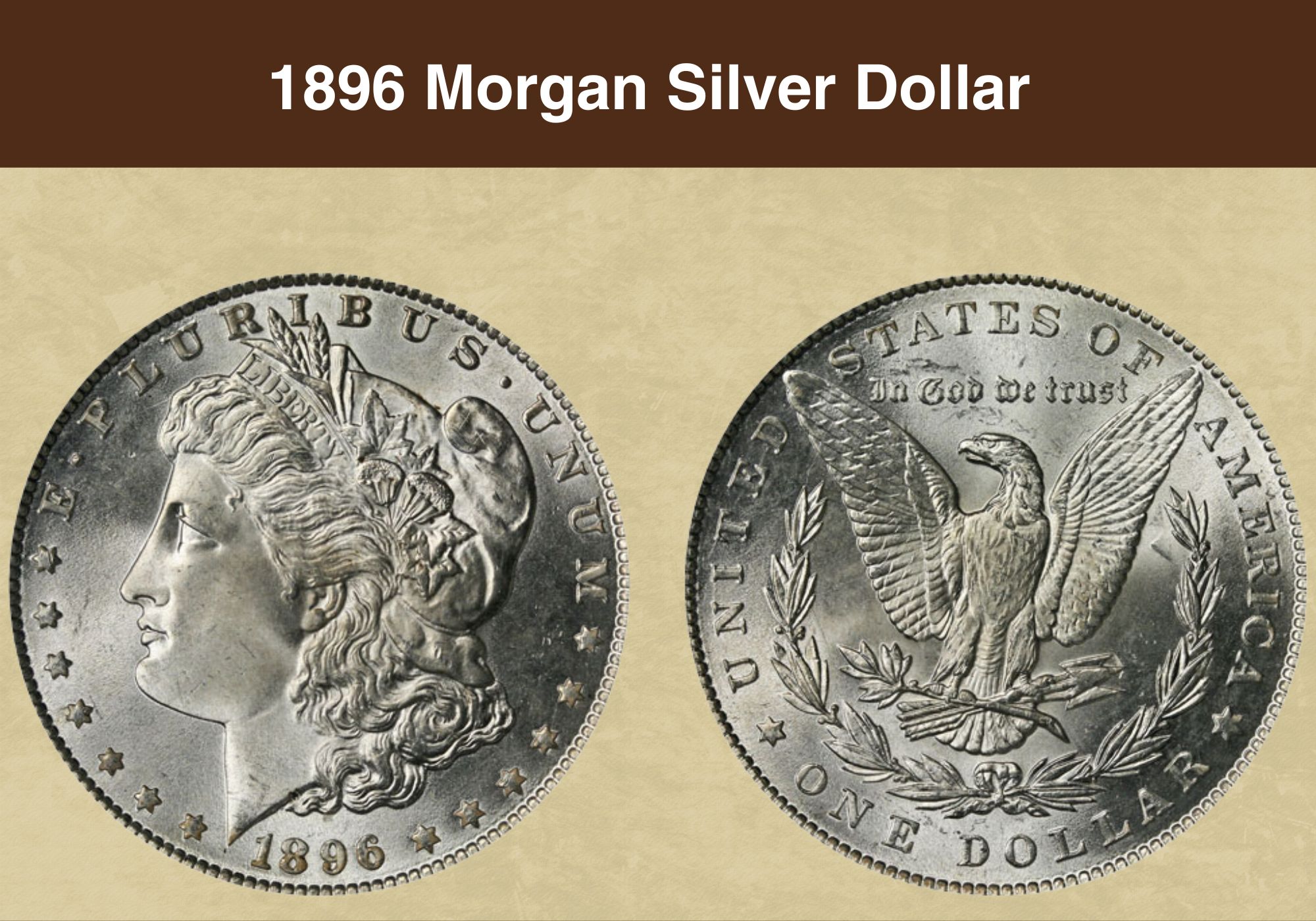 Morgan Silver Dollar Value | Discover Their Worth