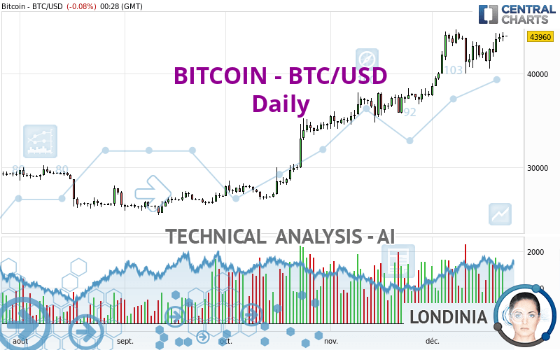 United States dollar bitcoin exchange rate history (USD BTC)