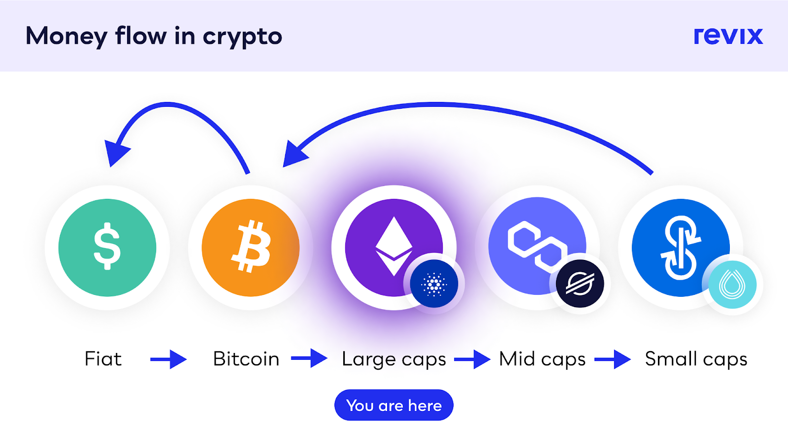 Flow Price | FLOW Price and Live Chart - CoinDesk