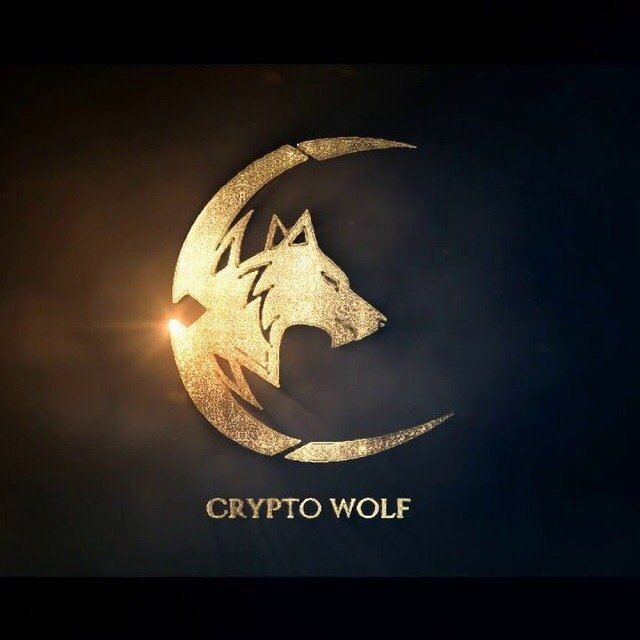 Wolf | Bitcoin Accelerator in NYC