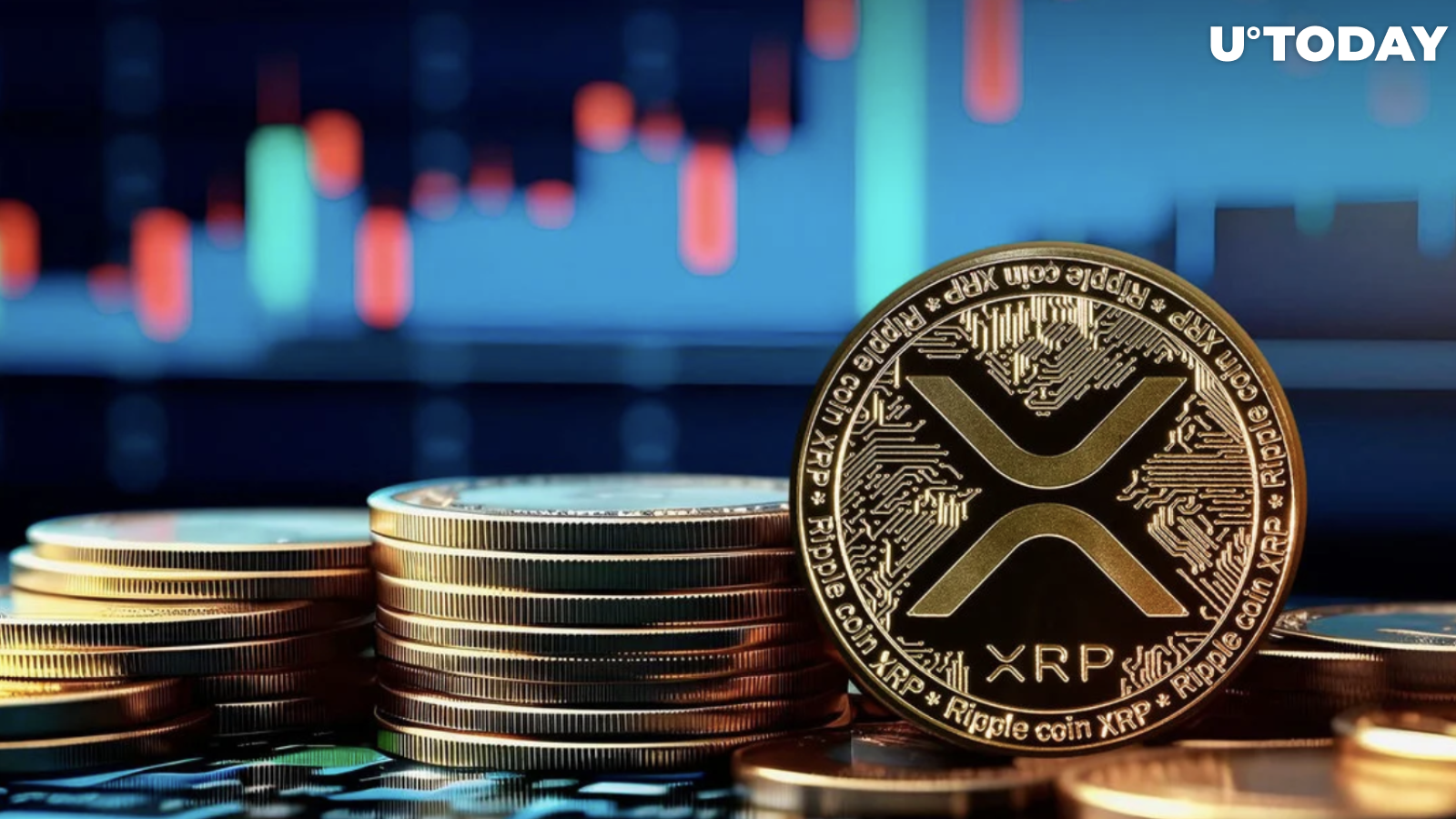 Where to Buy XRP: Top 8 Exchanges for | Fortunly