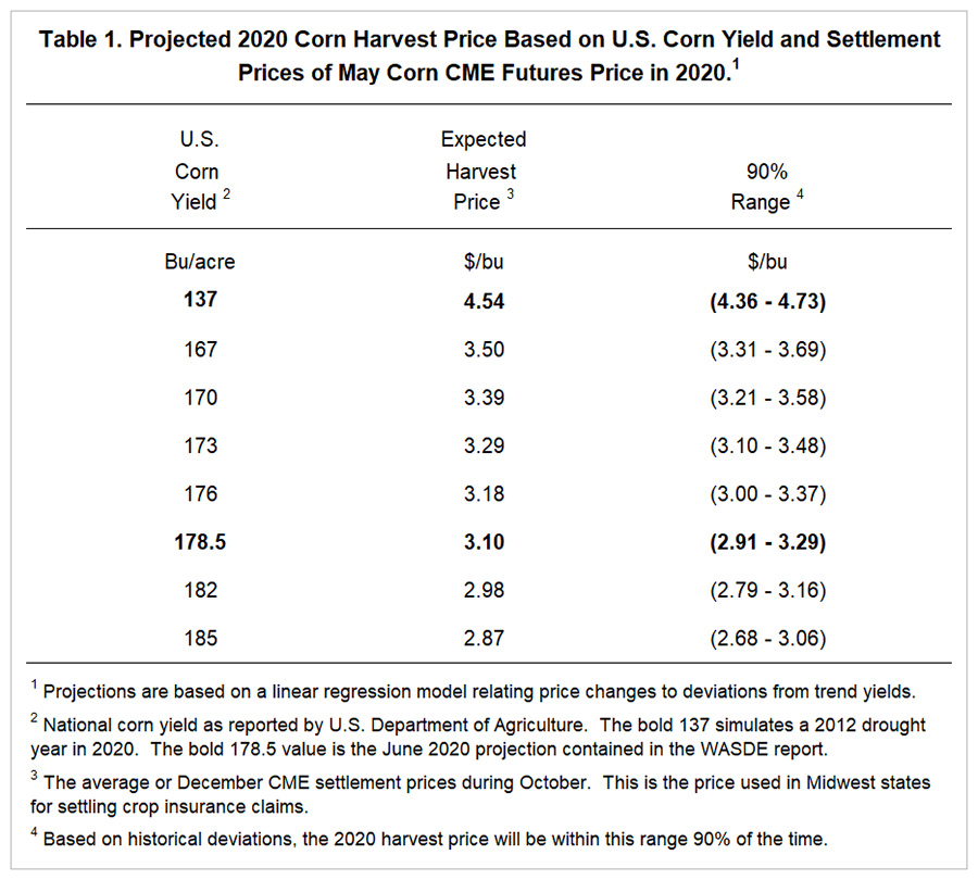 Rape Seed Harvest Shows Small Increase, Providing Stable Prices for Rapeseed Oil – Biofuel Express