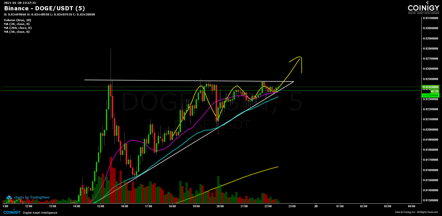 DOGE USDT - Binance - CryptoCurrencyChart