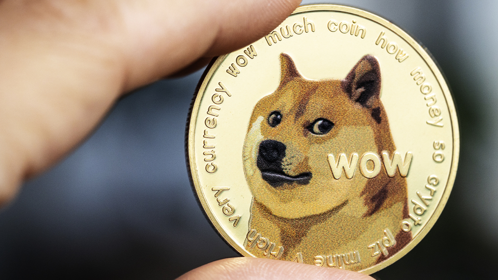 Convert DOGE to USD: Dogecoin to United States Dollar