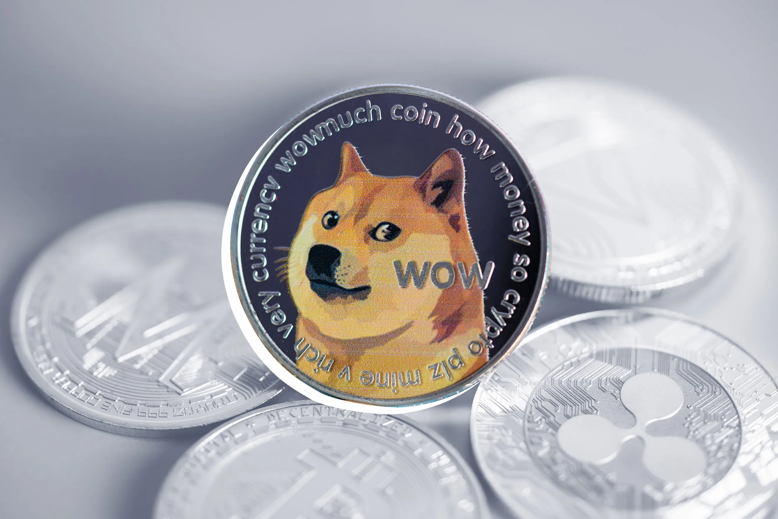 DOGECOIN FAUCET INSTANT PAYMENT IN FAUCETPAY