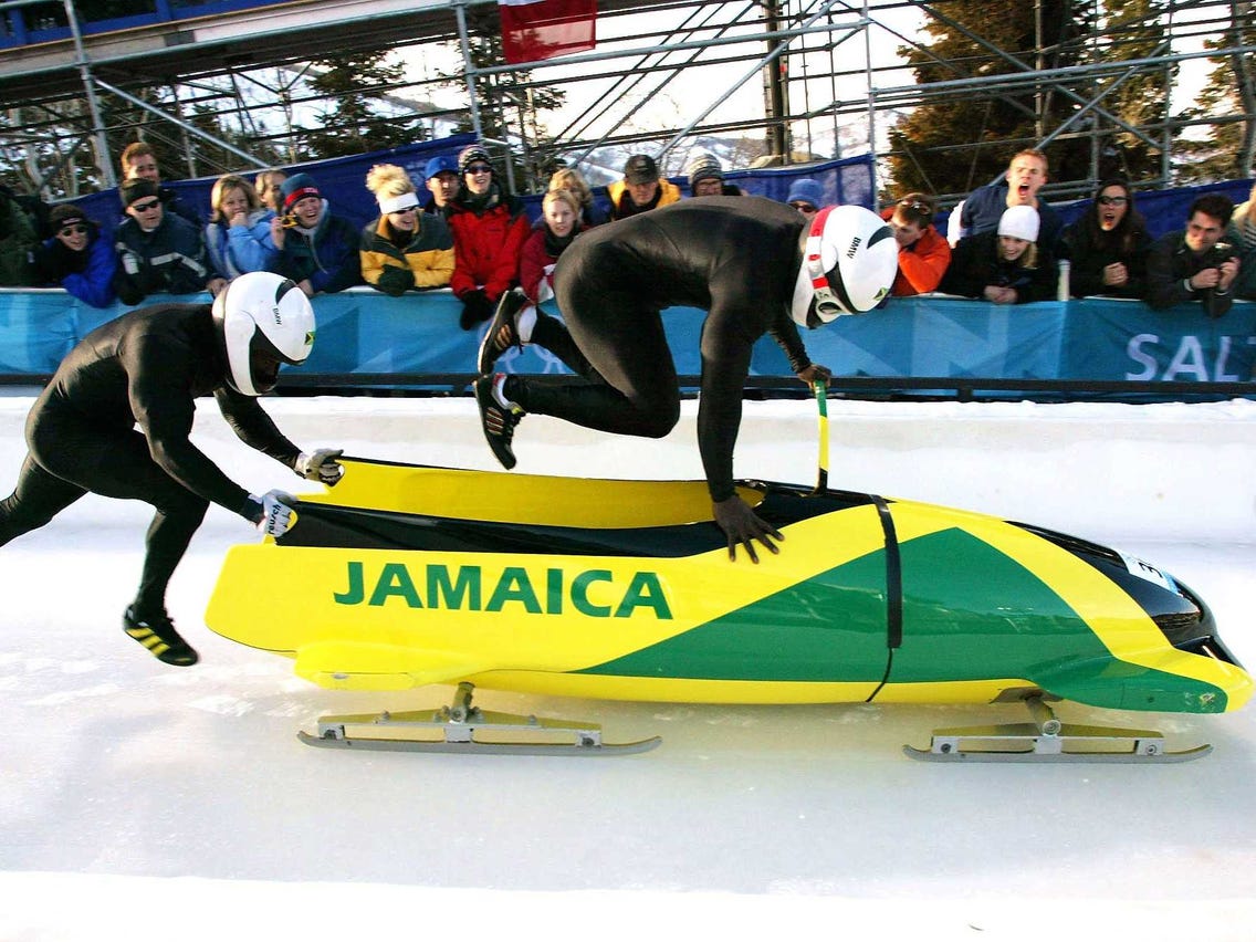 DOGE Currency Funds Jamaican Olympic Bobsled Team | EntirelyPets