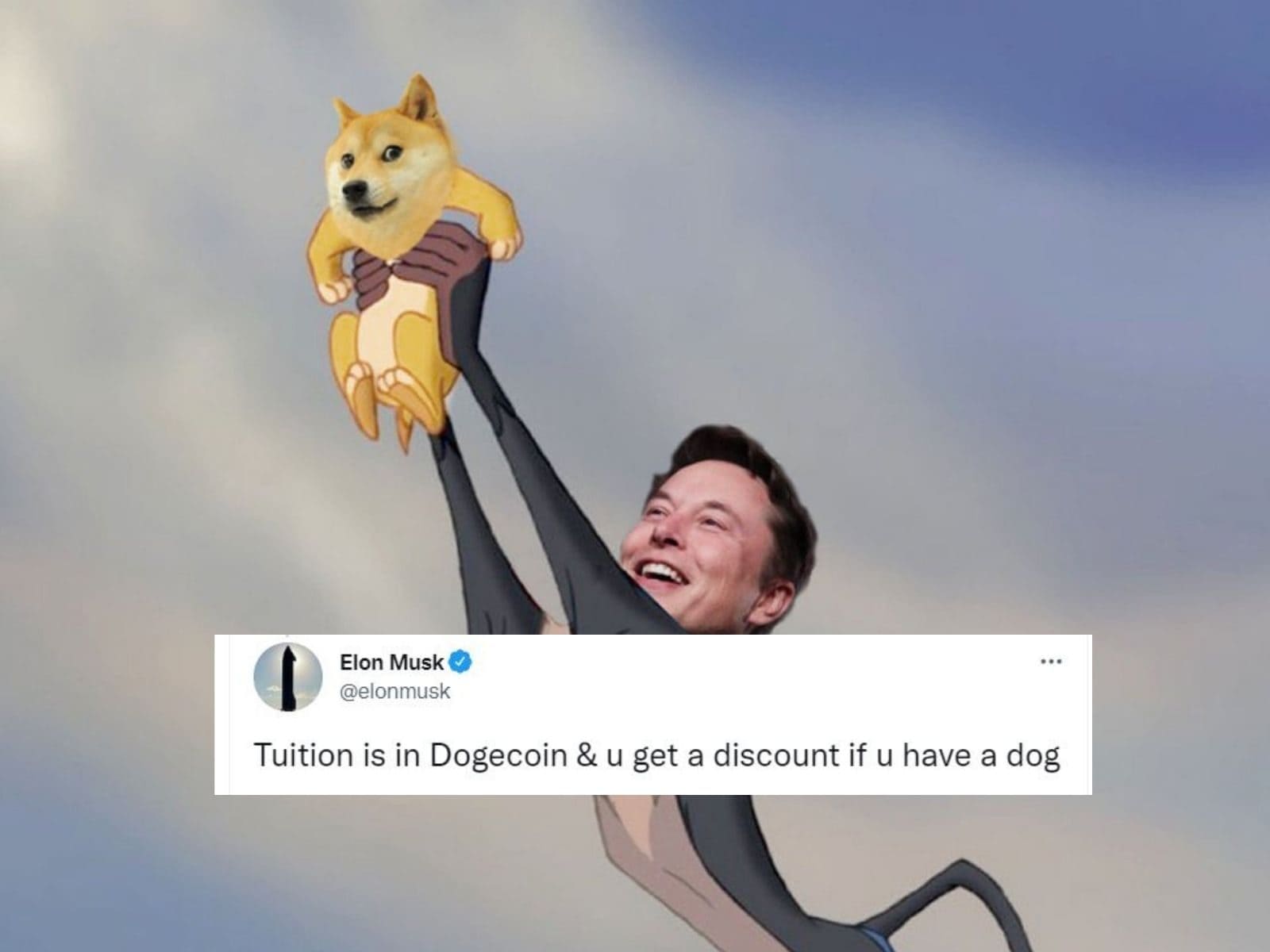 Dogecoin surges on Elon Musk's Twitter deal | Reuters