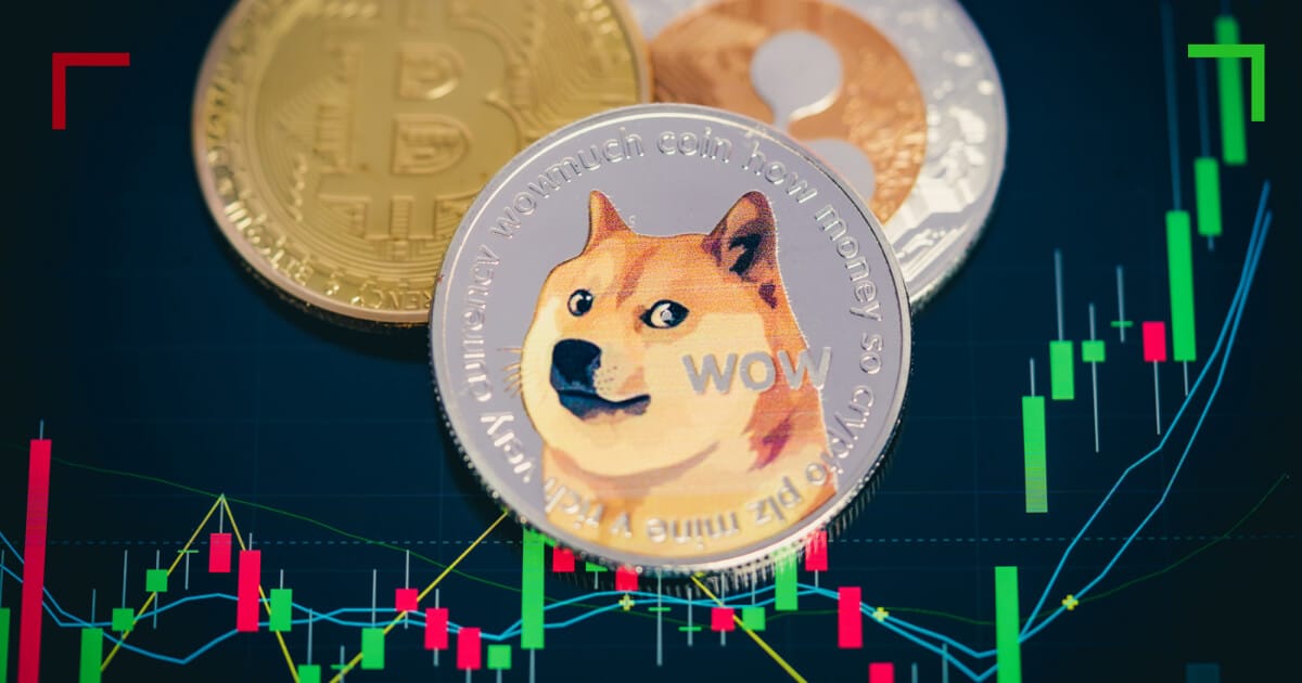 Dogecoin Explorer. Search.