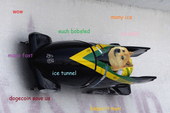 Dogecoin raises $30, for Jamaican bobsleigh team - CNET