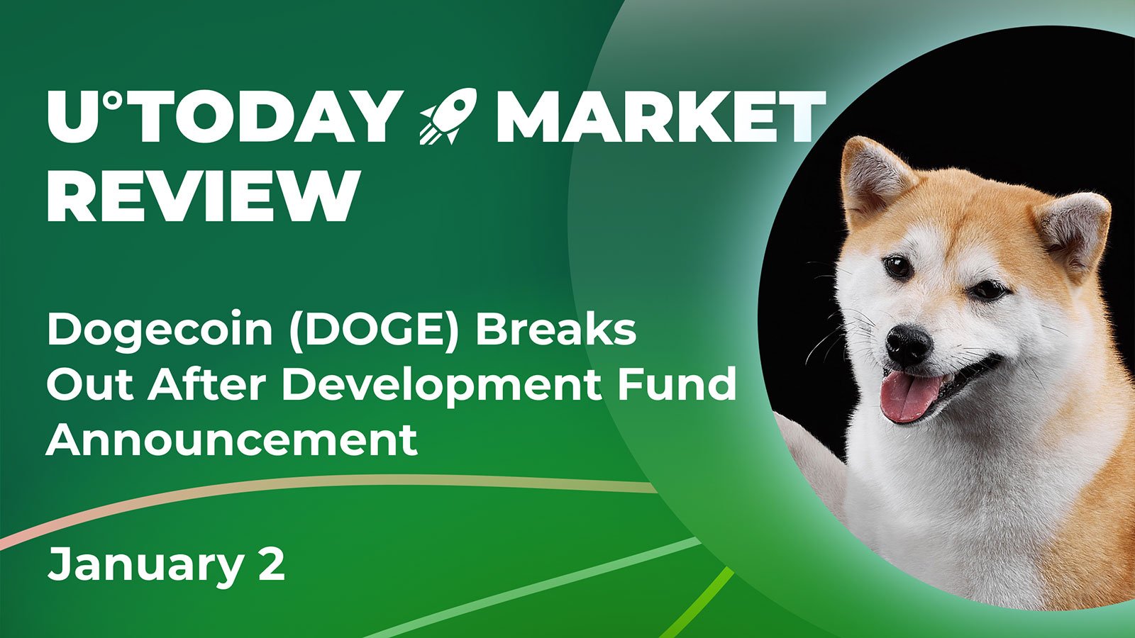 Crypto community sets DOGE price for January 31, 