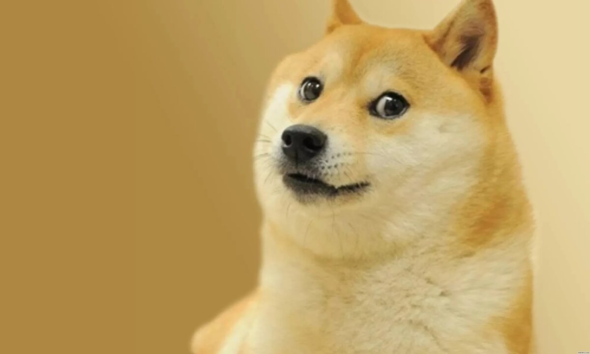 What Is Dogecoin? | Bankrate