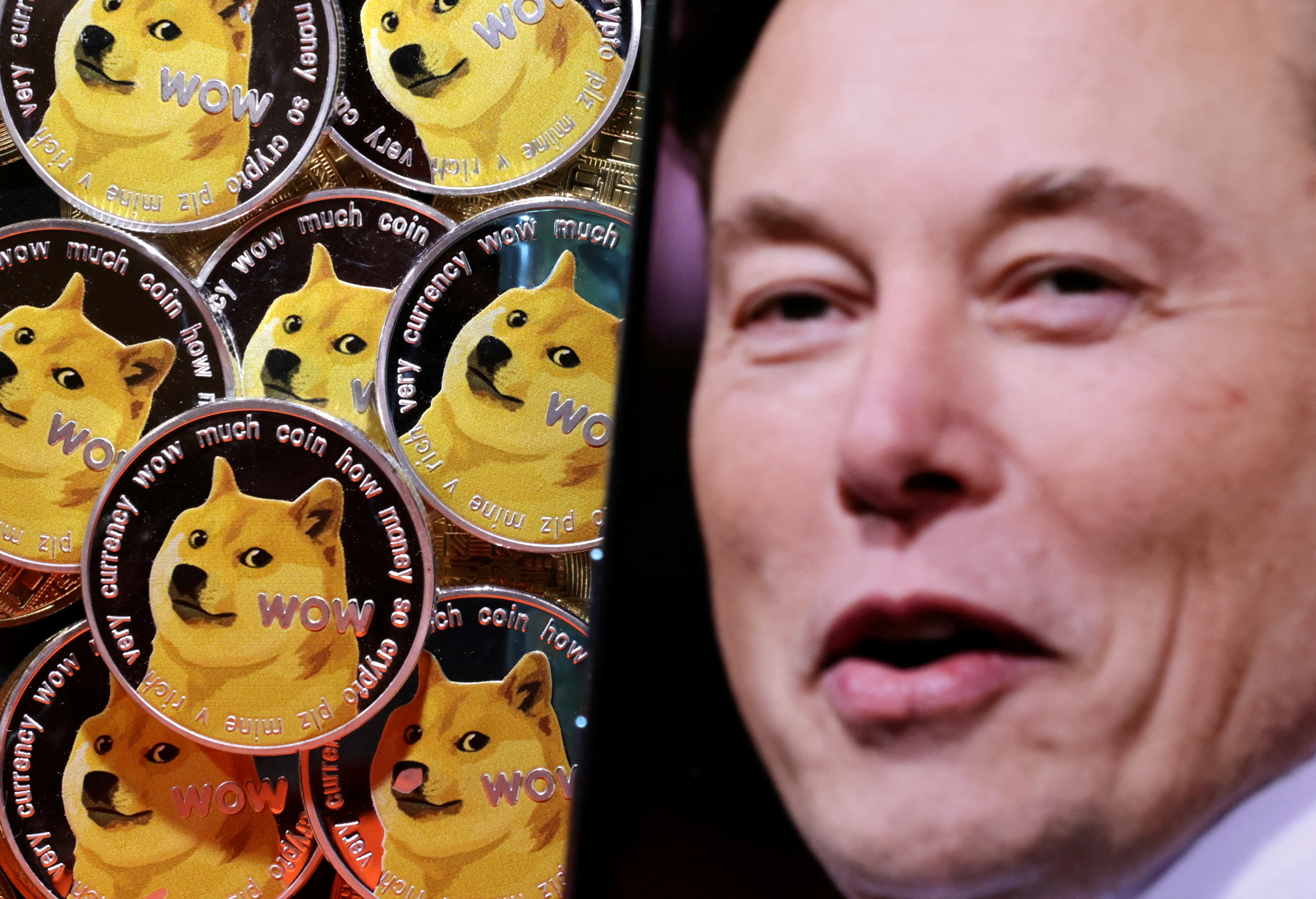 Elon Musk sued for $ billion over dogecoin tweets | The Independent