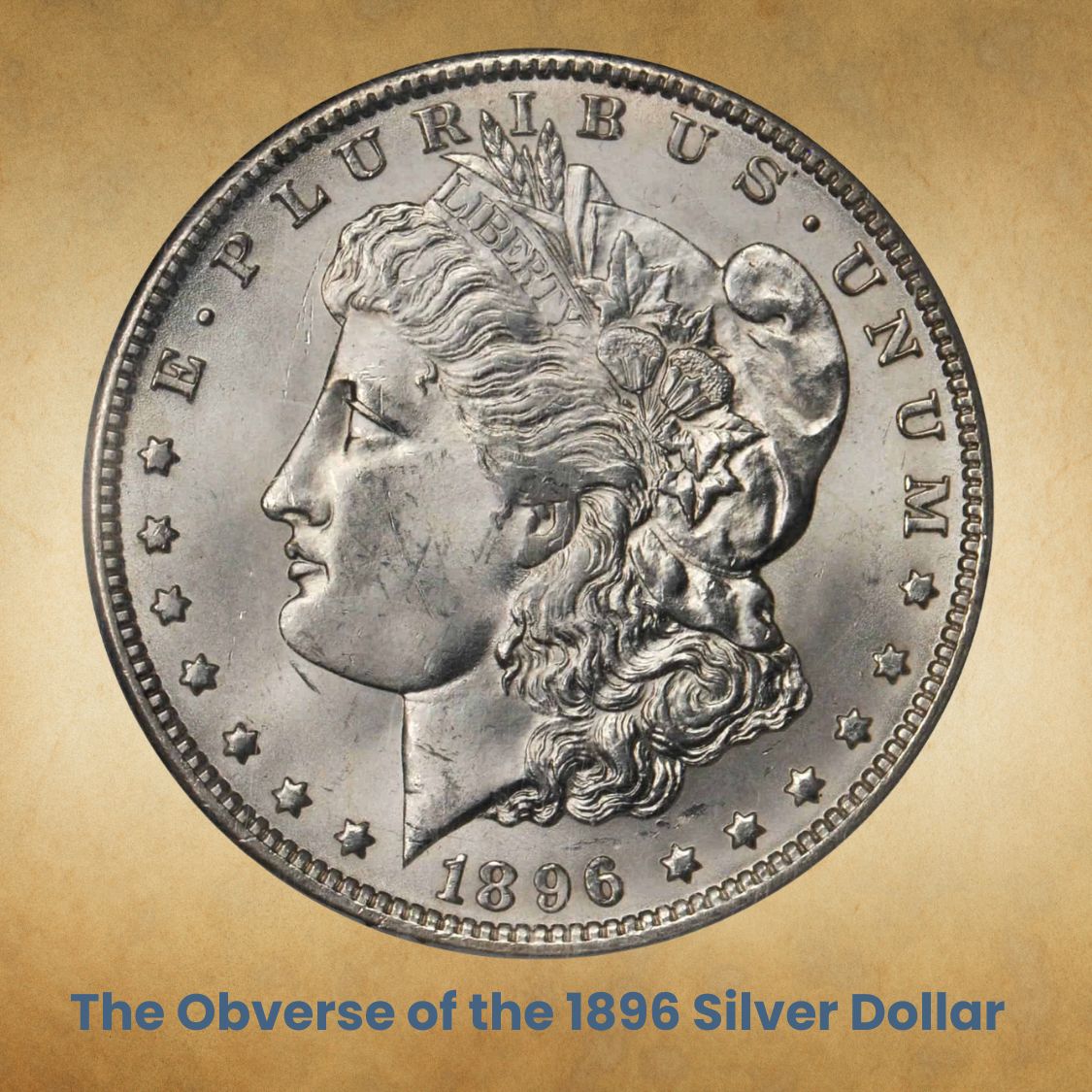 Value of Morgan Dollar | Rare Silver Dollar Buyers