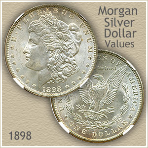 Morgan Silver Dollar Values and Prices - Past Sales | cointime.fun