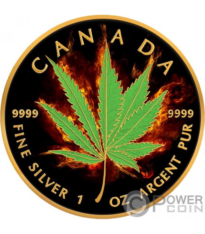 CANNABIS SATIVA Concave 1 oz Silver Proof Gilded Coin Benin 