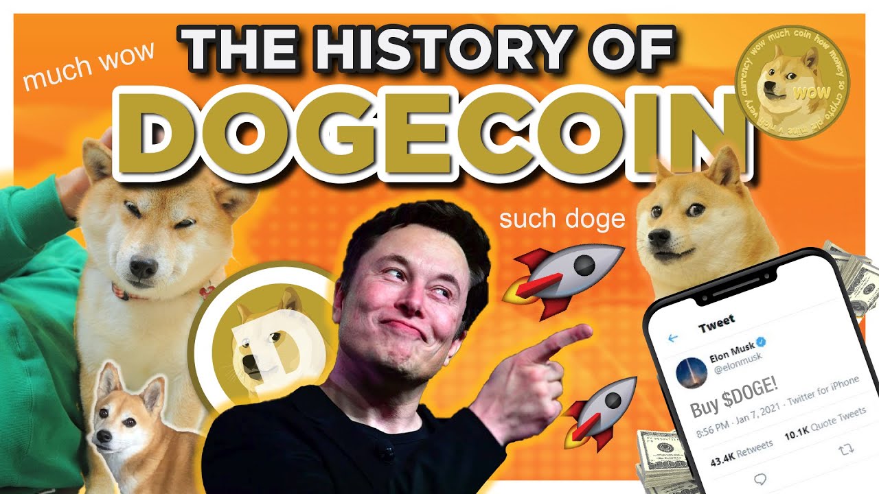 Dogecoin Price History | DOGE INR Historical Data, Chart & News (5th March ) - Gadgets 