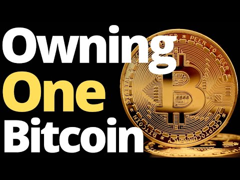 How many people own 1 bitcoin?