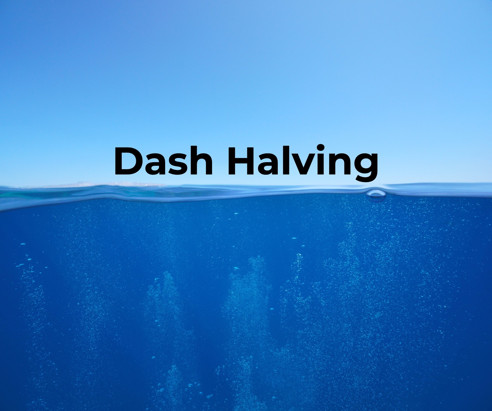 Dash halving – BestChange project blog