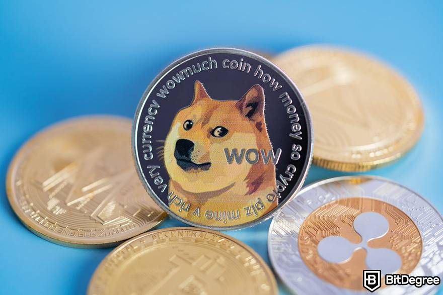 Dogecoin Price Drops as Elon Musk Returns Twitter Logo - cointime.fun Blog