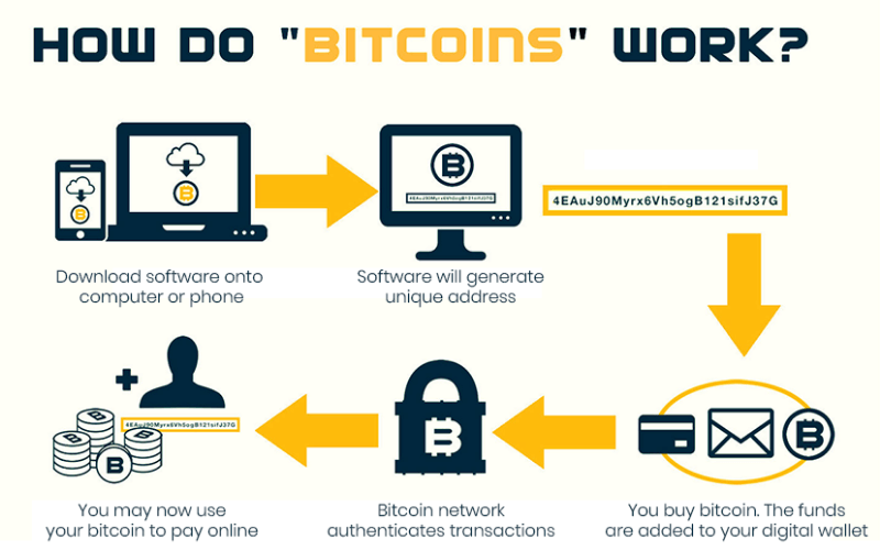 Digital Currencies | Explainer | Education | RBA