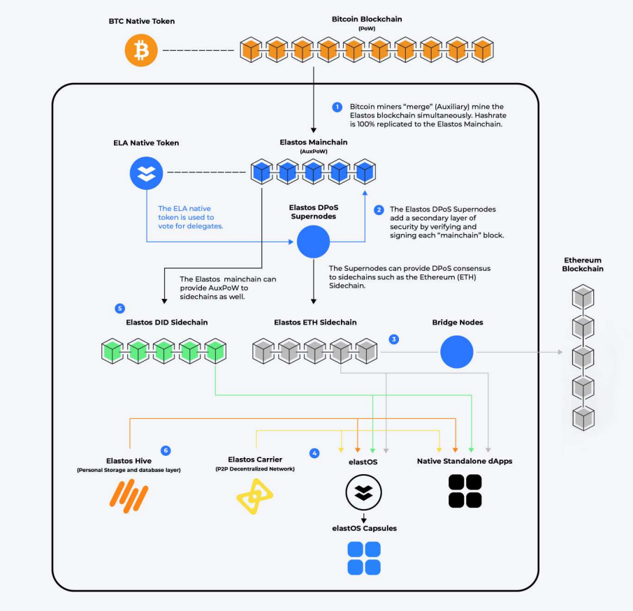 Everything Elastos In One Place