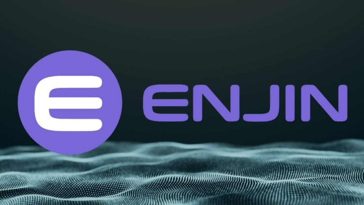 Enjin Coin (ENJ) Token Holders | Binance (BNB) Smart Chain Mainnet