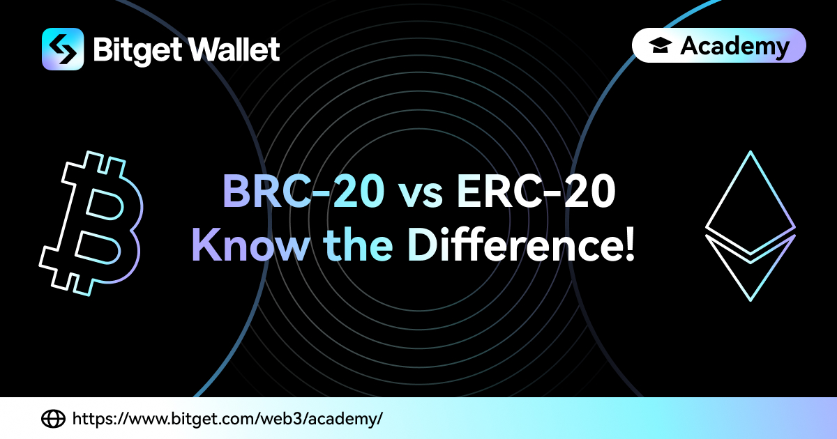 What Are the Differences Between TRC20 and ERC20? | Academy cointime.fun